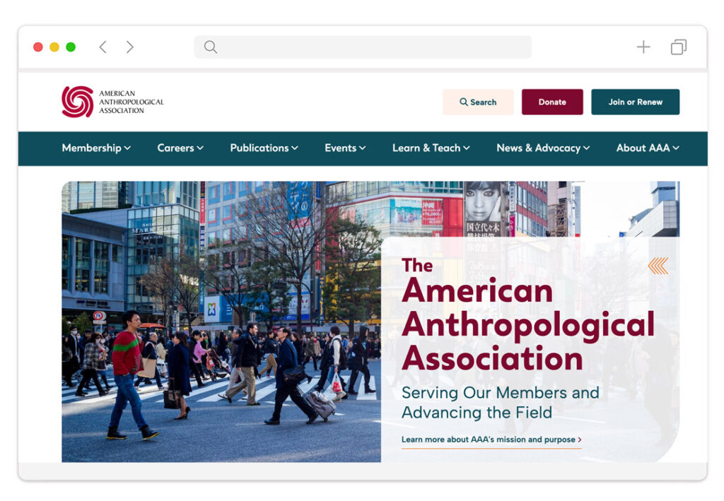 AAA homepage design