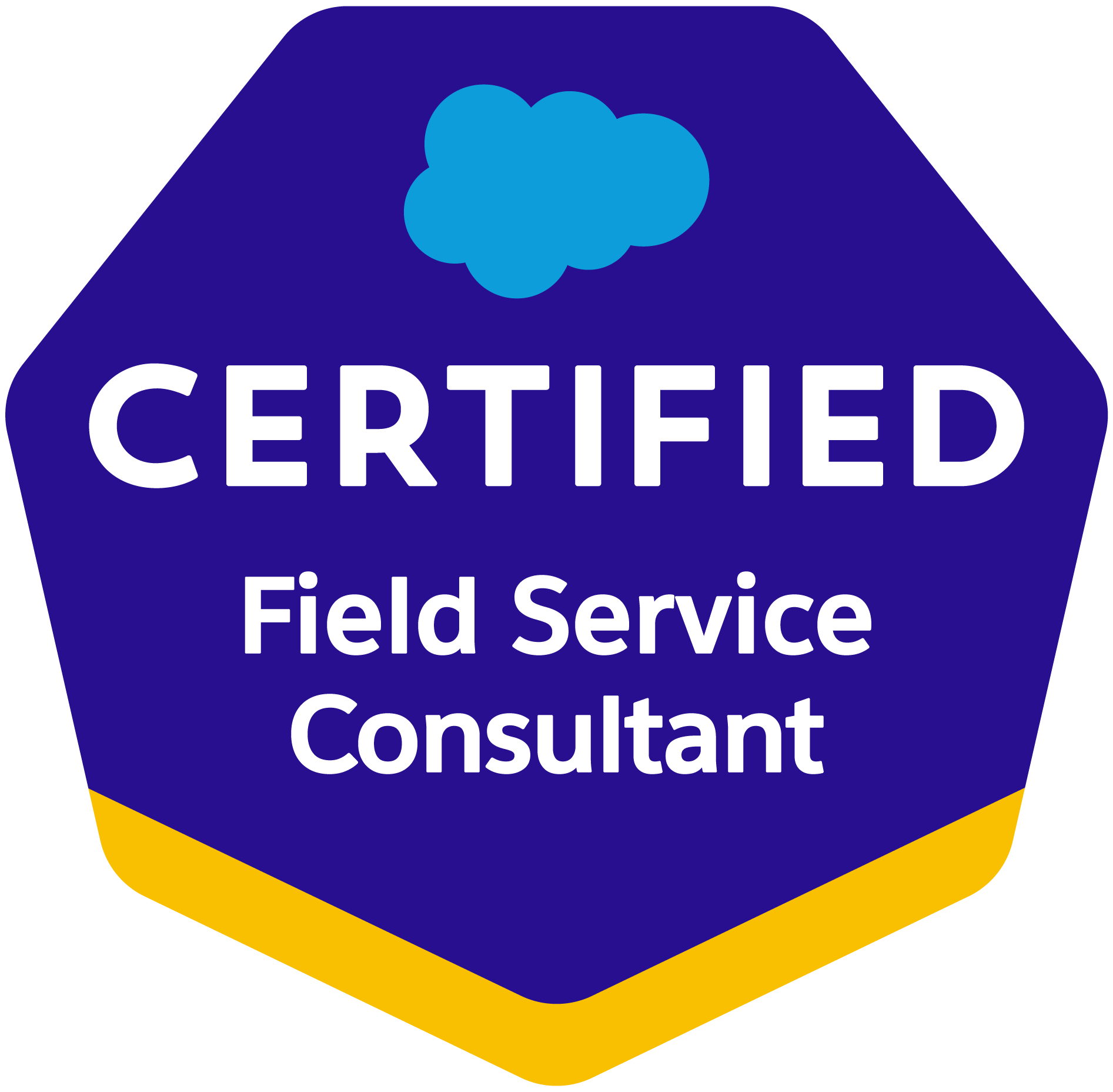 Salesforce Certified Field Service Consultant
