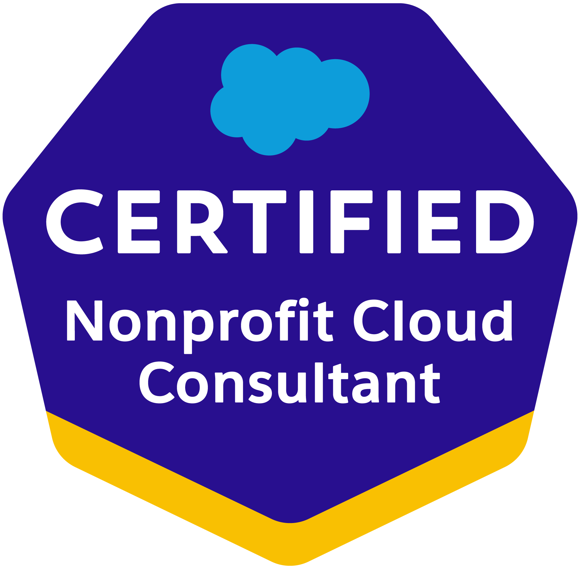 Salesforce Certified Nonprofit Cloud Consultant