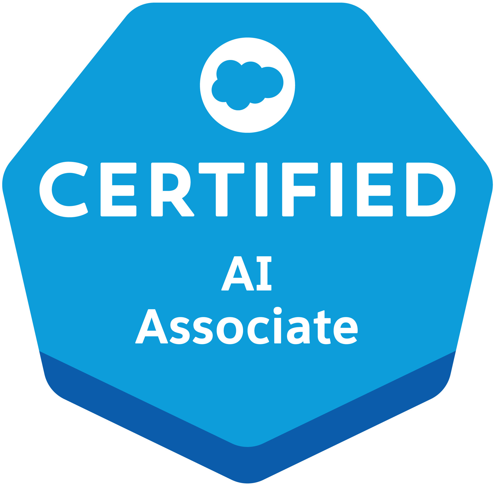 Certified AI Associate