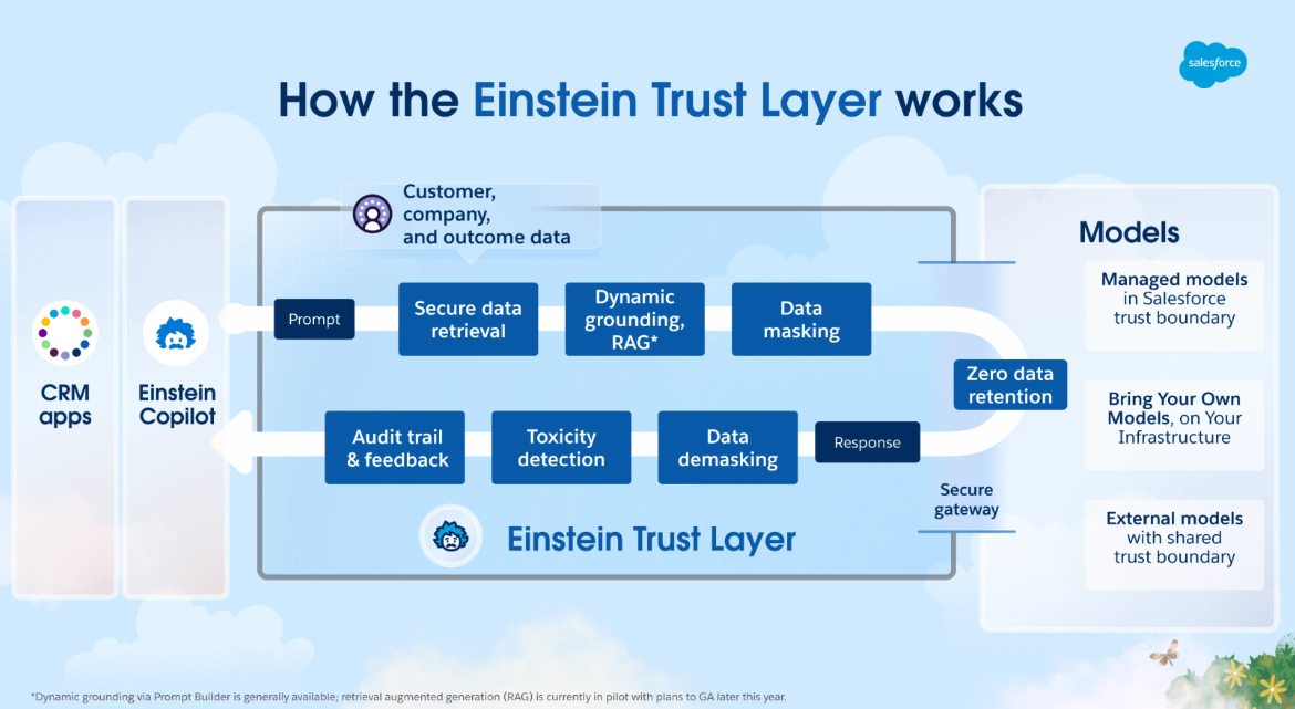 How the Einstein Trust Layer Works