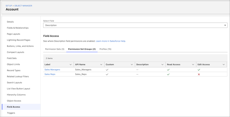 Agentforce Account Object Manager