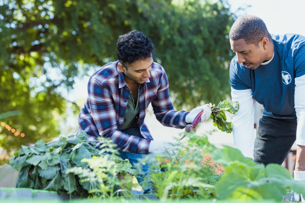 Experience Cloud implementation for environmental nonprofits